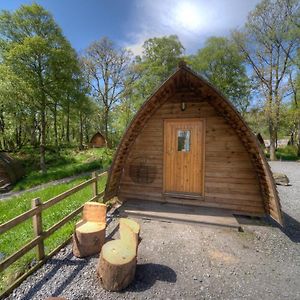 Camping Pod Pet Friendly